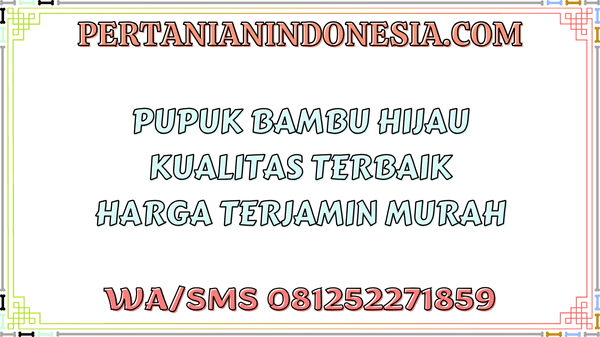 Pupuk Bambu Hijau Kualitas Terbaik Harga Terjamin Murah